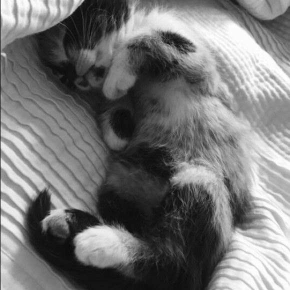 •MEET YOUR SELLER• - Picture 3 of 8